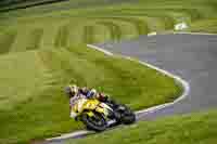 cadwell-no-limits-trackday;cadwell-park;cadwell-park-photographs;cadwell-trackday-photographs;enduro-digital-images;event-digital-images;eventdigitalimages;no-limits-trackdays;peter-wileman-photography;racing-digital-images;trackday-digital-images;trackday-photos